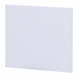 AJ-CENTERBUTTON-1G2W-W-VERT